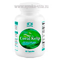 Корал Келп / Coral Kelp